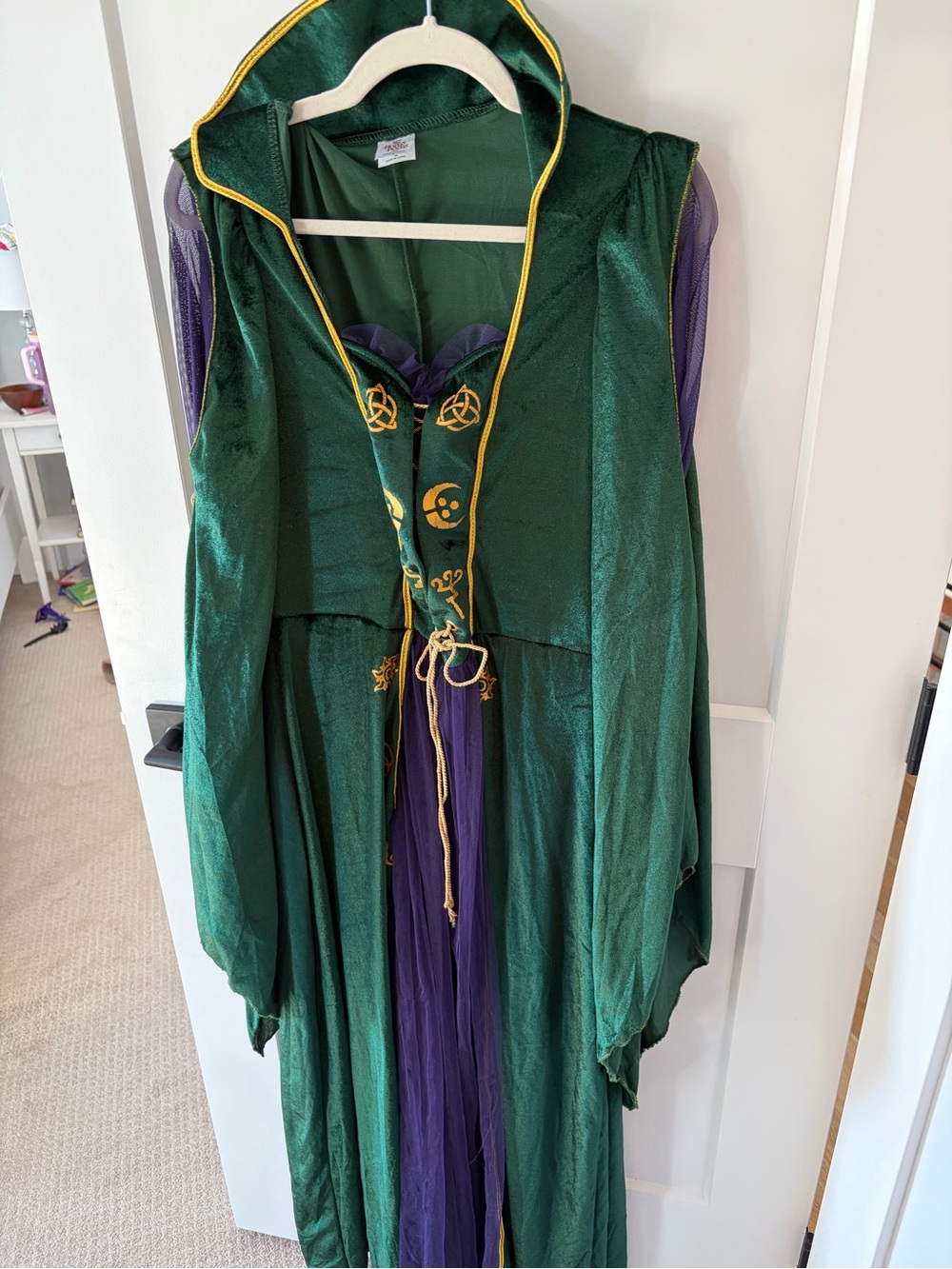 Women's Winifred Sanderson (Hocus Pocus) Green Purple Witch Costume with cape